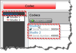 Codec - List Panel domain and codecs hilighted